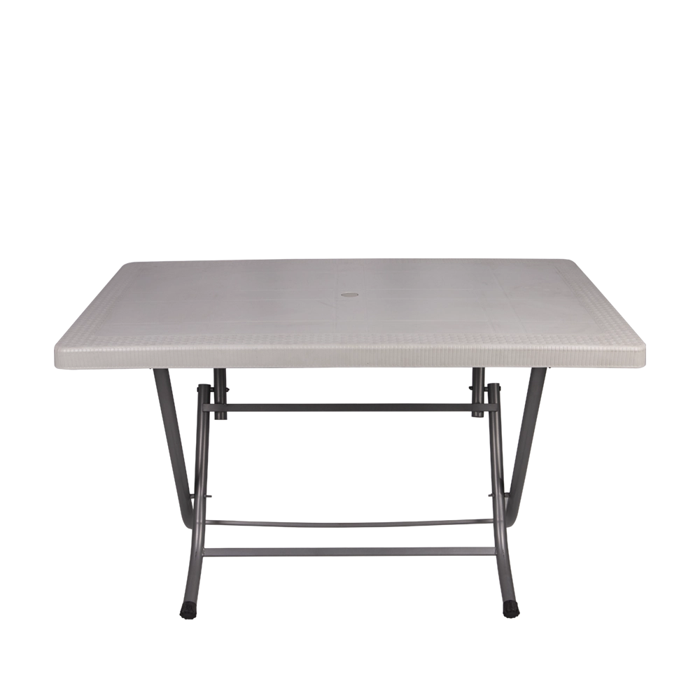 70X120 ZEUGMA RATTAN MASA METAL AYAK