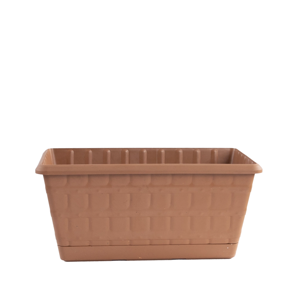 PAPATYA BALKON SAKSI 30 CM