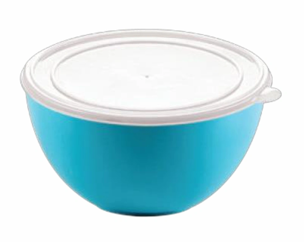 POLİ KAPAKLI KASE 6 NO 8 LT