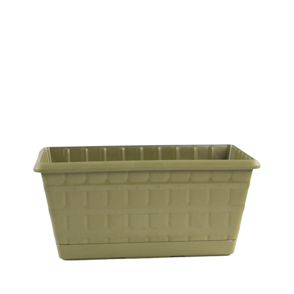 PAPATYA BALKON SAKSI 60 CM